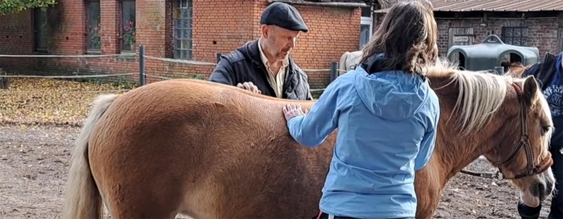 Ausbildung zum Tierheilpraktiker - Königsfurt Seminare