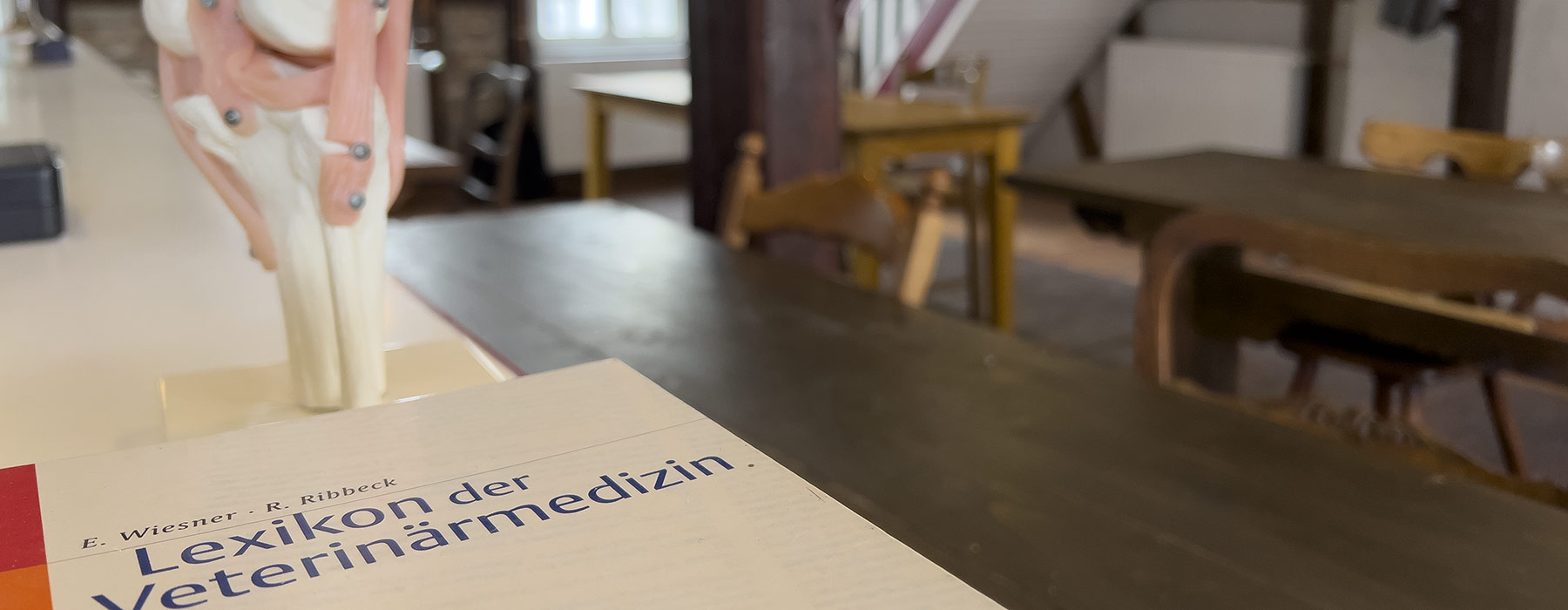 Schule für Heilpraktiker und Tierheilpraktiker in Schleswig Holstein