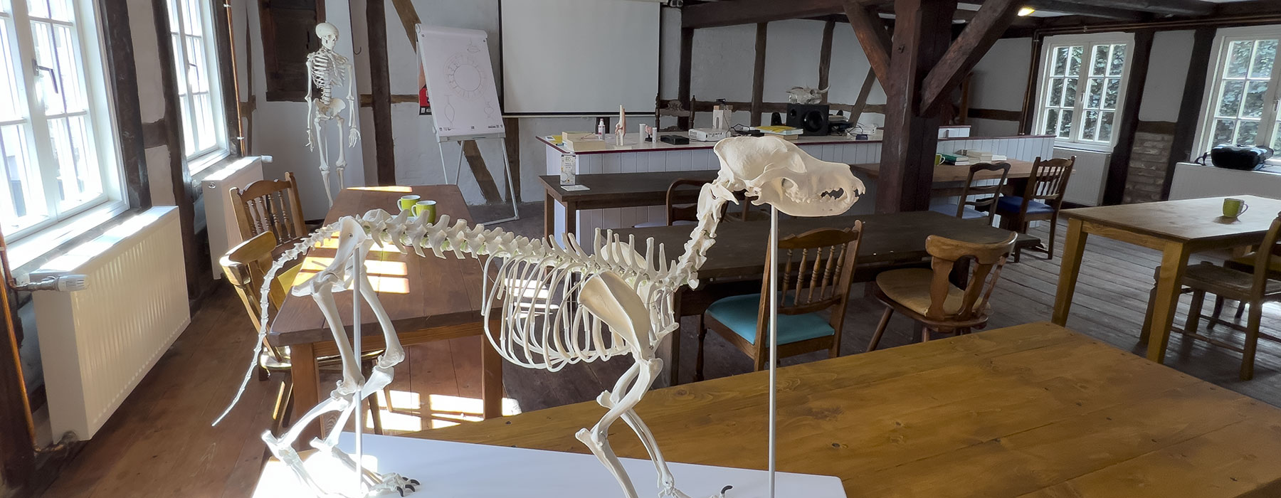 Heilpraktiker und Tierheilpraktikerschule Königsfurt Seminare