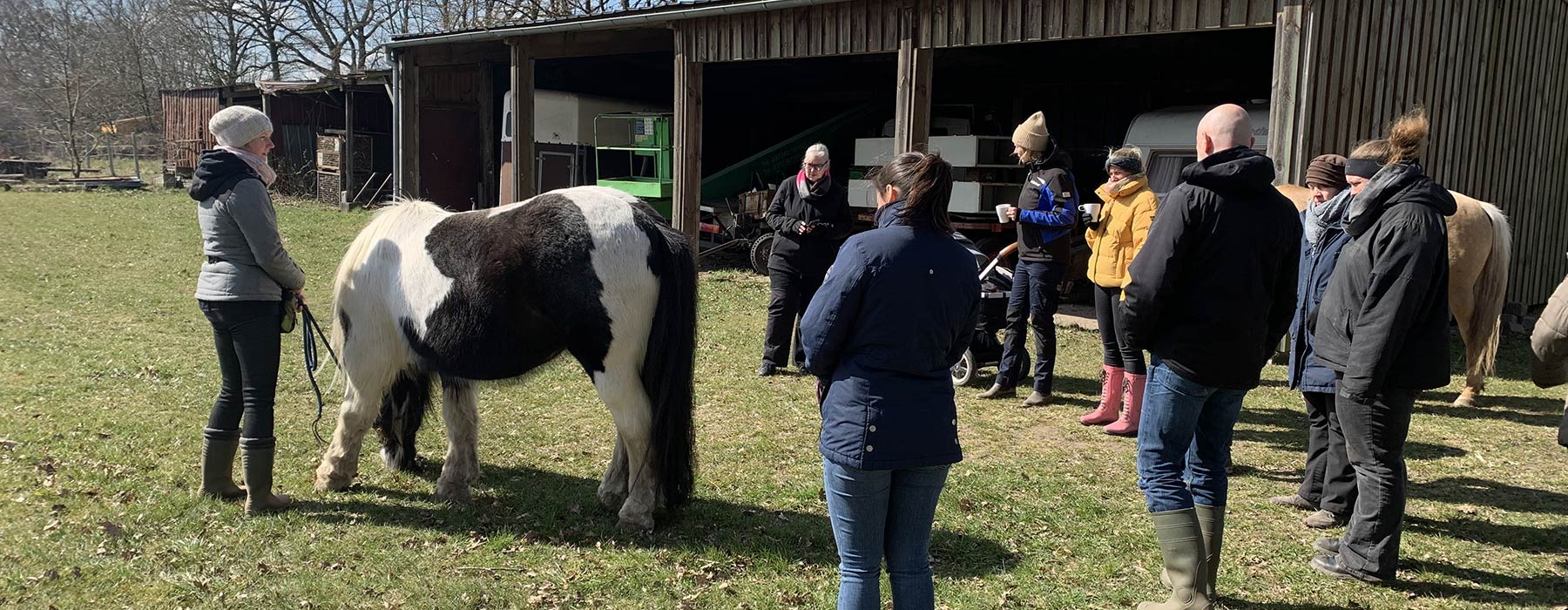 Praxisunterricht Ausbildung zum Tierheilpraktiker in Schleswig Holstein