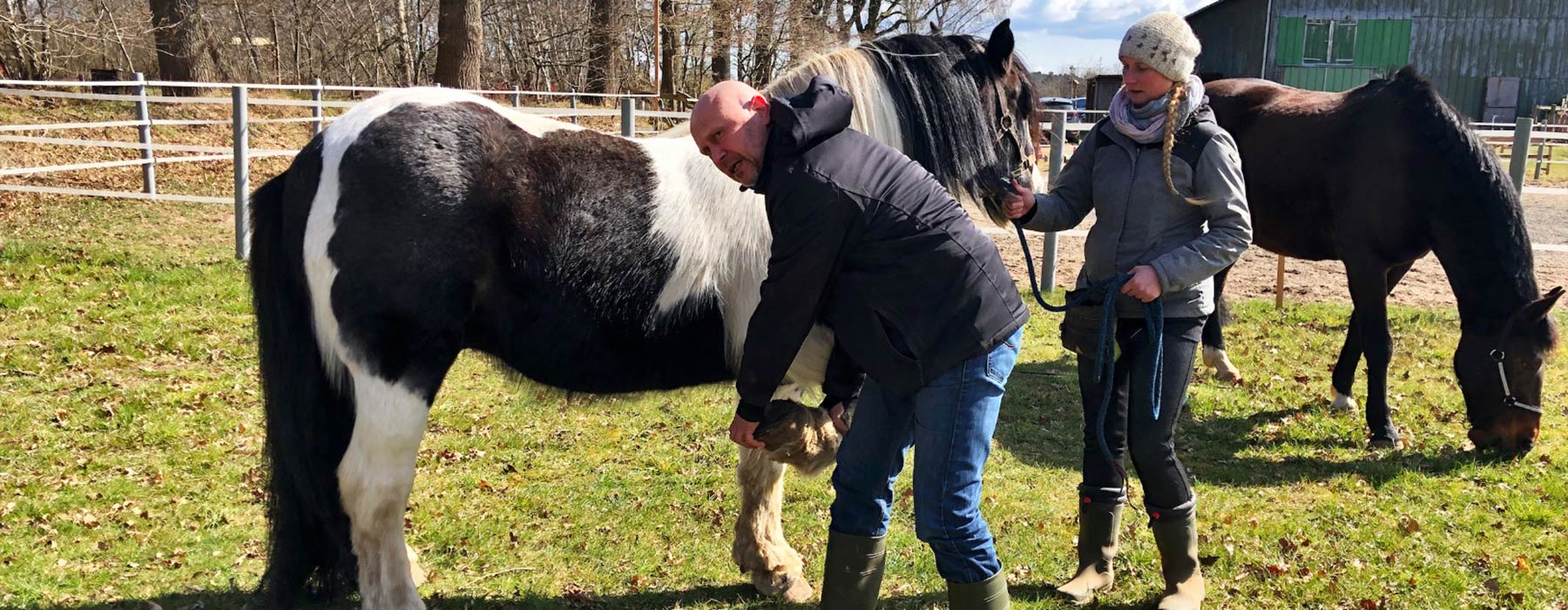 Praxisunterricht Ausbildung zum Tierheilpraktiker in Schleswig Holstein
